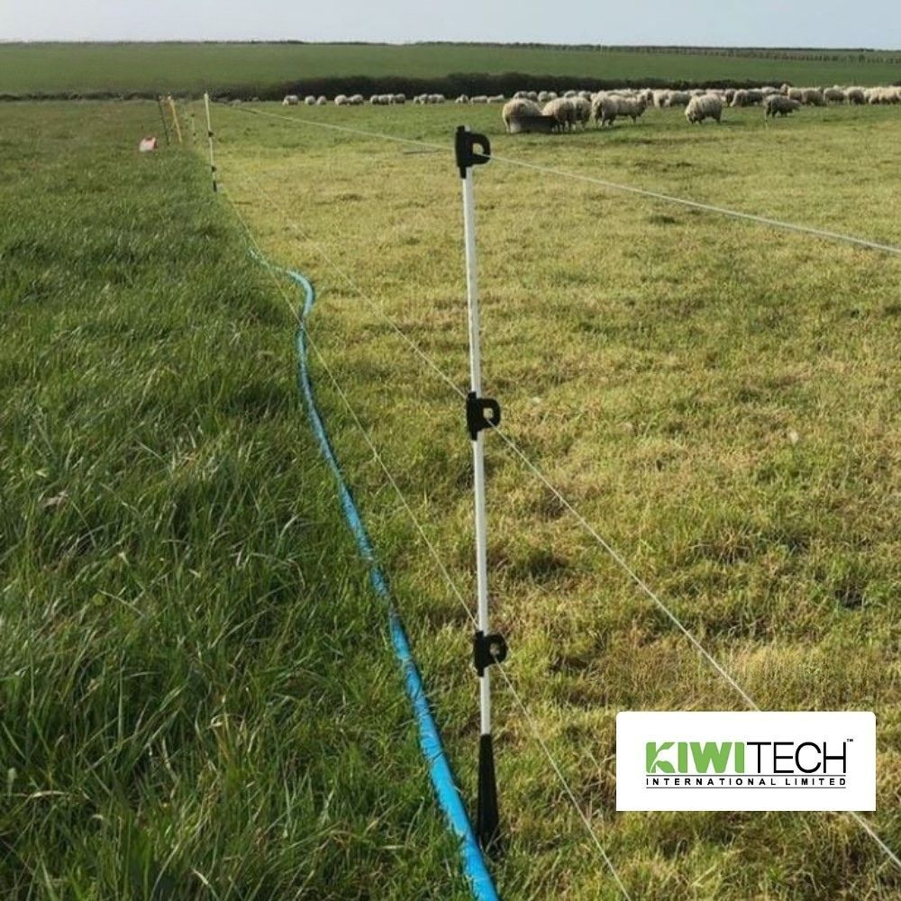 Technique poussée de subdivision des parcelles d'élevage avec la clôture électrique Kiwitech