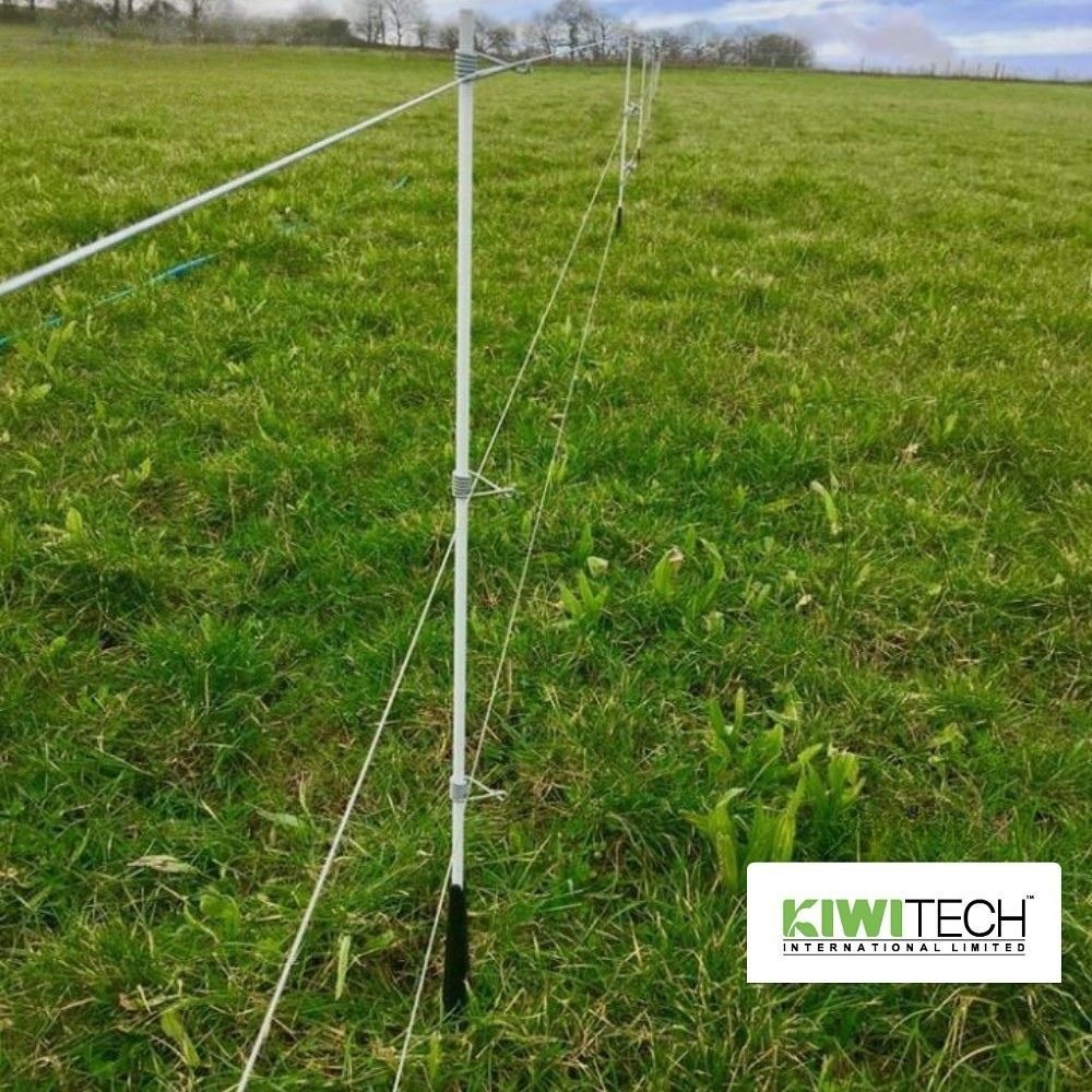 Technique poussée de subdivision des parcelles d'élevage avec la clôture électrique Kiwitech